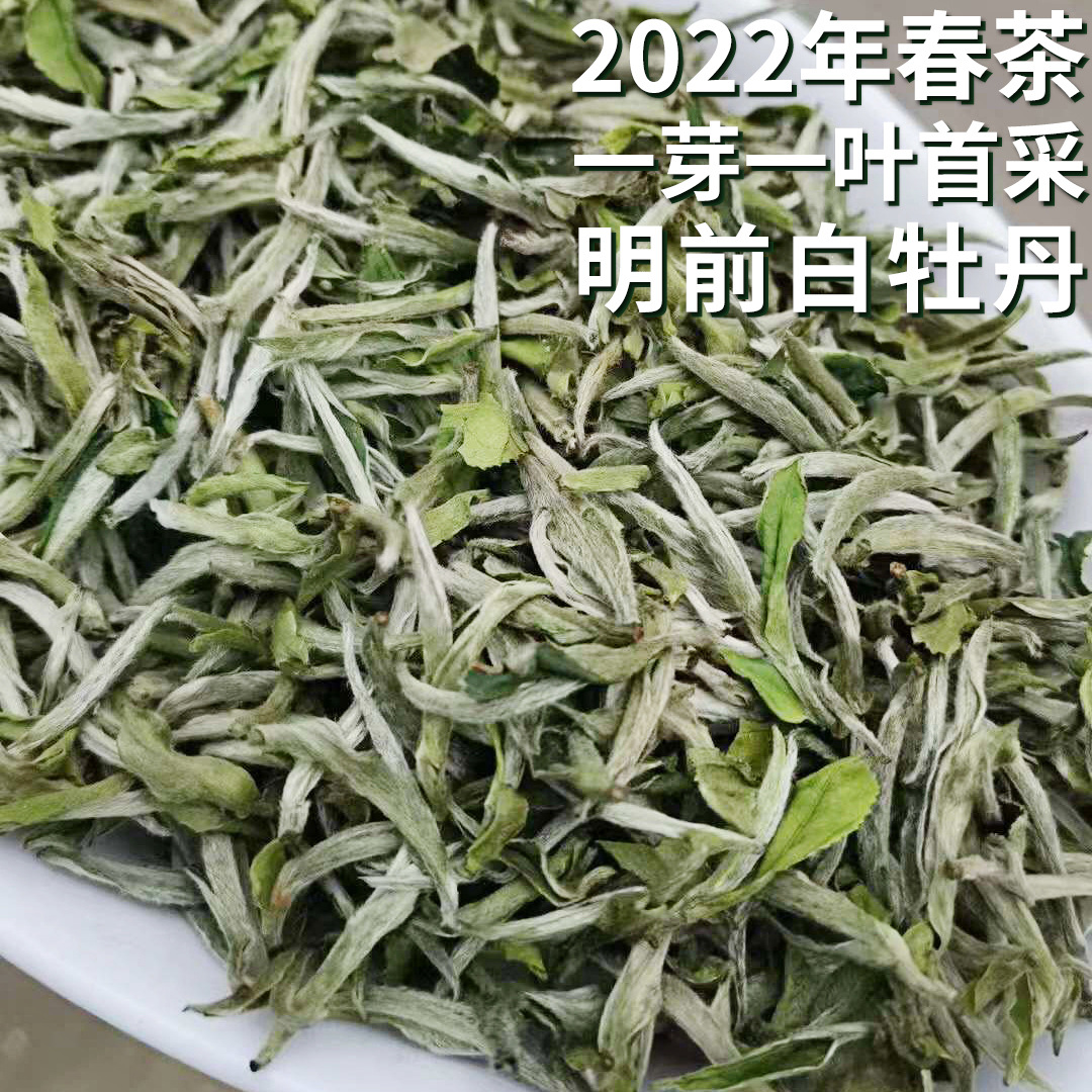 2022福鼎春茶白牡丹 福建首采高山明前一芽一叶白茶 散茶500g茶叶