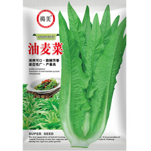 揭美尖叶油麦菜种子 香甜脆嫩油麦菜籽 阳台农业蔬菜种子2000粒装