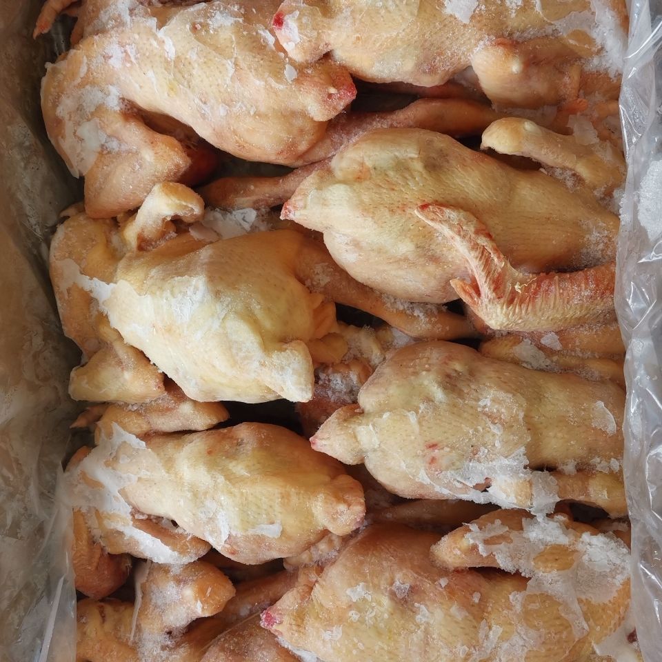 生鲜冷冻三黄鸡散养鸡土鸡二级残鸡整箱19斤厂家直销饭店食堂商用