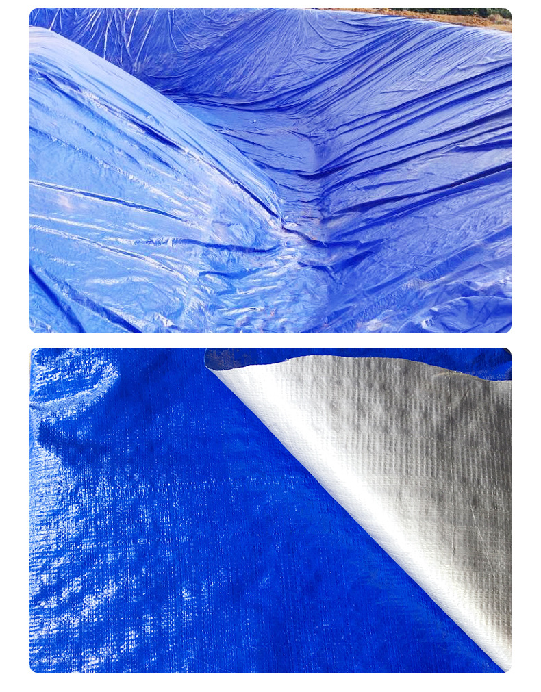 我国十大刑案 一 1996年北京一号案子——白宝山案深度写实