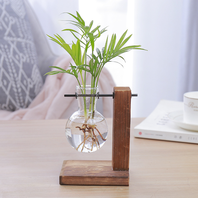 桌面水培植物玻璃花瓶水养罗汉松植物花卉办公室护眼摆件小型盆栽