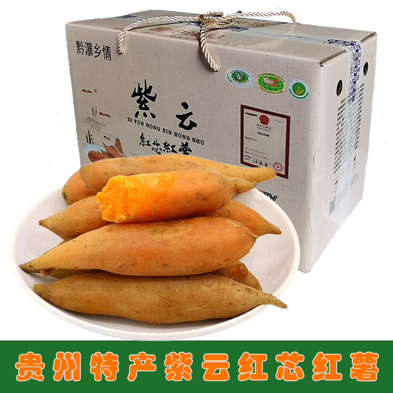 贵州特产紫云红心红薯农家自种番薯地瓜红苕黄心板栗薯可做种子