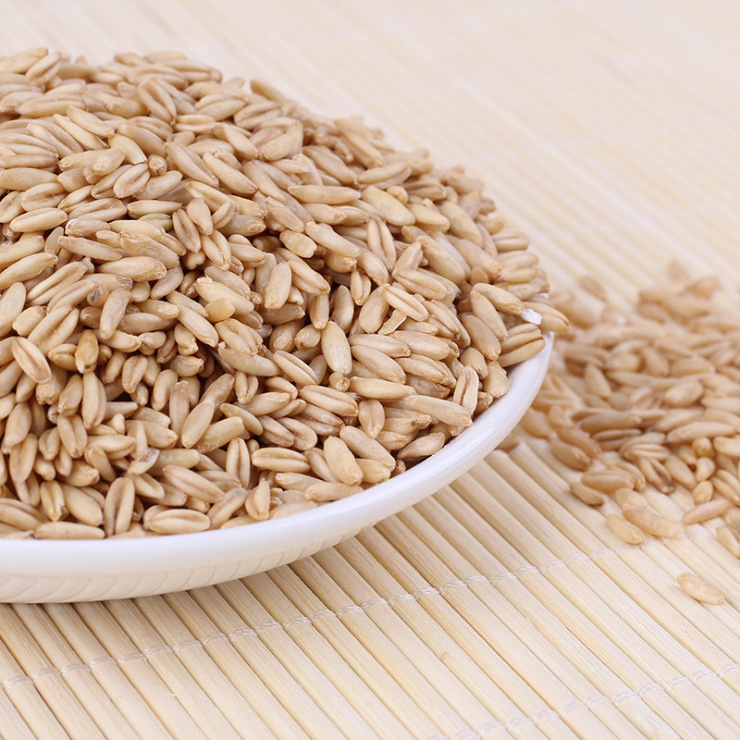 麦仁 小麦仁 大麦仁 批发大包25kg50斤