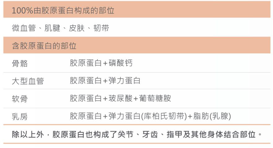 品牌胶原蛋白_什么牌子的蛋白胶原最好_哪个牌子的胶原蛋白