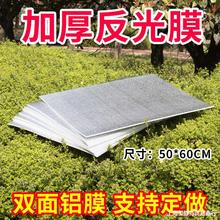 蜂箱隔热反光膜箱盖板遮阳板防雨布防水蜜蜂加厚养蜂专用工具