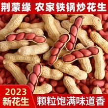 炒花生净重农家铁锅零食2023新货新鲜带壳原味四粒红衣红皮炒熟