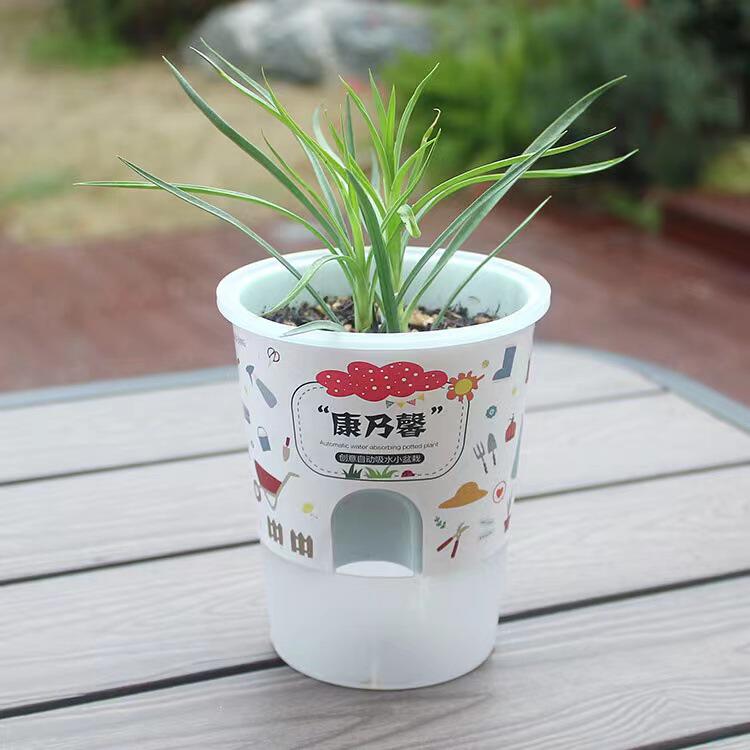 幼儿园儿童diy盆栽种植玩具学生创意礼品乐乐桌面奶茶杯盆栽礼品