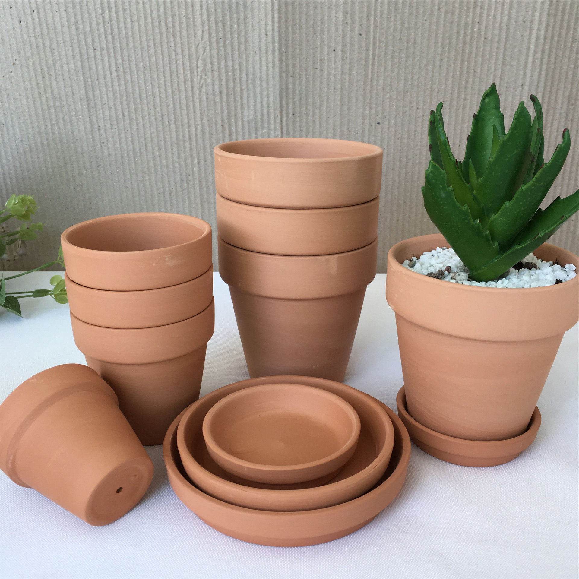 花盆 红陶国际圆形细质陶瓷红陶盆多肉育苗盆栽透气陶土盆批发