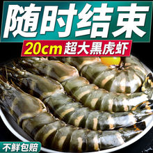 超大新鲜黑虎虾鲜活大虾海捕越南斑节虾海鲜海虾虾冻虾厂一件批发