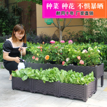 阳台种菜种植箱养花栽种菜家庭塑料花盆楼顶菜园种蔬菜箱