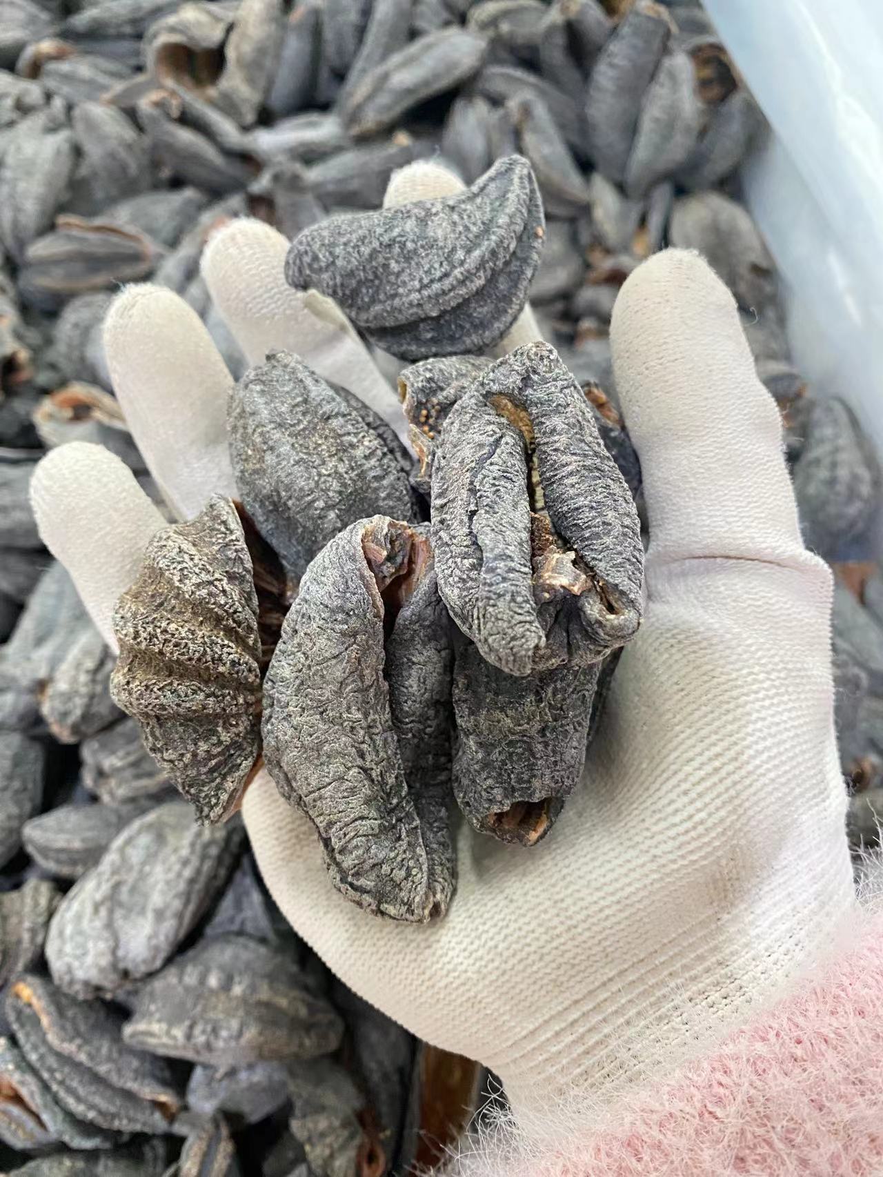 产地直供 俄罗斯海参皮淡干野生水产干货500g 俄罗斯去筋有筋参皮