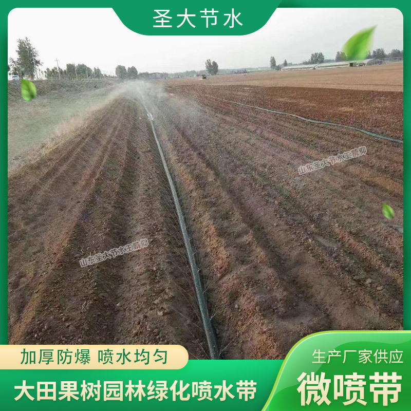 大田果樹園林綠化噴水帶微噴帶-廠家山東圣大節水-