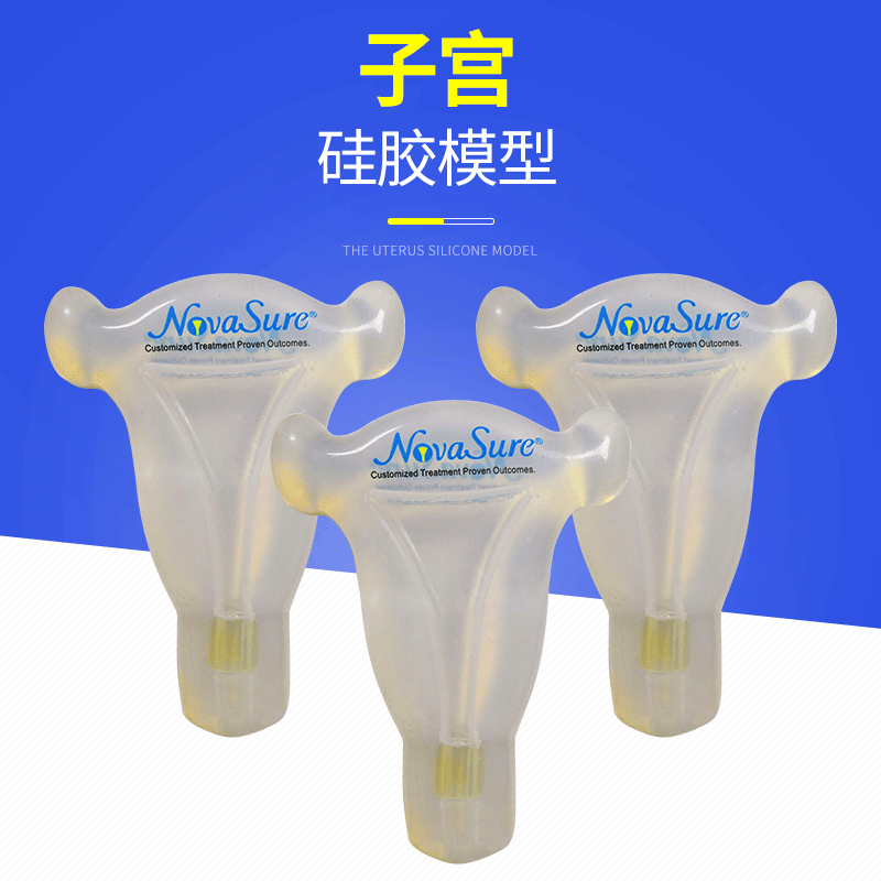 厂家直营: 子宫硅胶模型硅胶展示模型女性宫内放置节育环模型