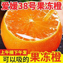 四川爱媛果冻橙薄皮应季新鲜水果正宗柑橘爱媛38号冰糖橙脐橙血橙