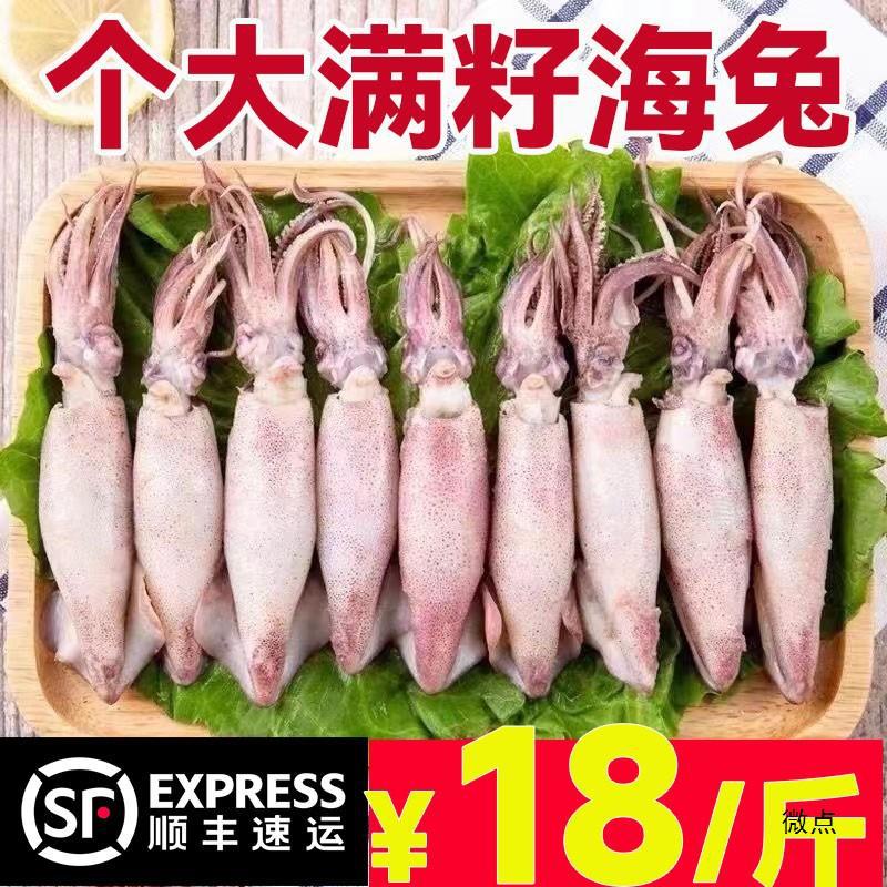 【顺丰】海兔子大个4斤天然满籽小墨鱼仔笔管鱼全籽海兔子今年货