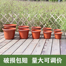 花盆塑料批发反边盆加厚育苗圃君子兰大独立站厂家直销厂家批发