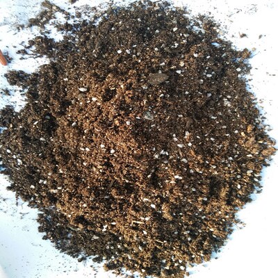 批发草炭土 顶花园种植轻质泥炭土 工地工程绿化营养土草炭种植土