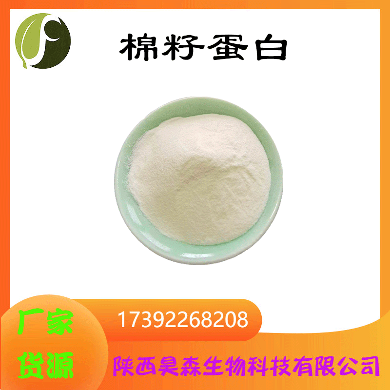 棉籽蛋白98% 棉籽提取物 棉籽蛋白粉 酶解棉籽蛋白肽 昊森现货