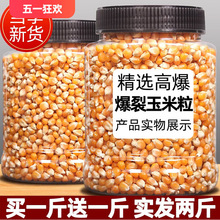 新货爆米花的玉米粒即食1000g大罐装玉米花苞米粒爆米花原料
