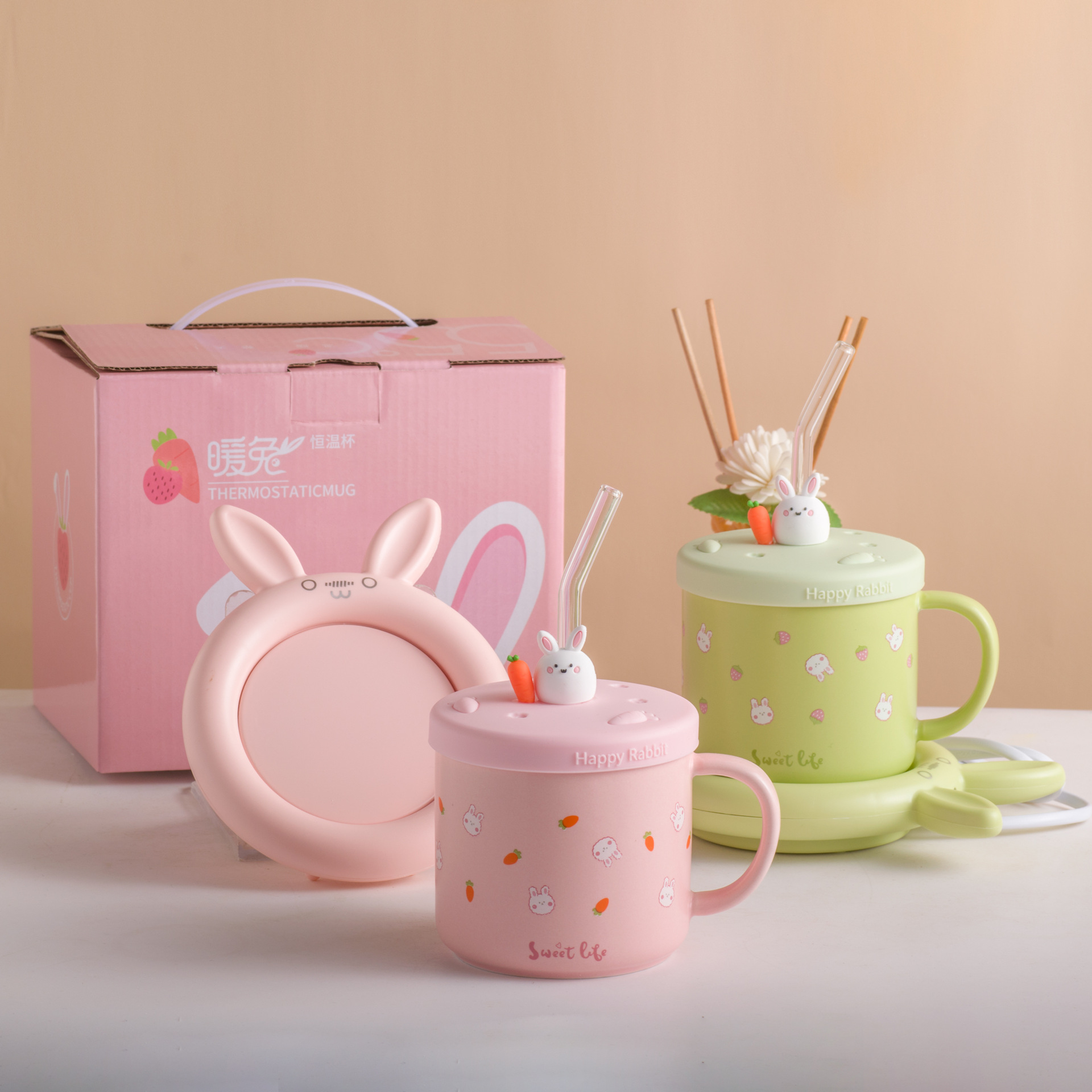 55 Degree Constant Temperature Warm Cup Cartoon Rabbit Ceramic Mug with Lid Mother's Day Gift Practical Couple Water Cup