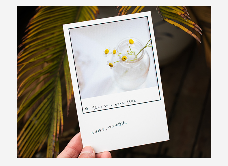 青禾纪 这是美好的时辰明信片 文艺学生礼物留言祝贺卡片批发