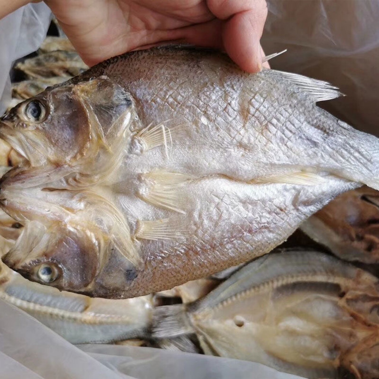 鲈鱼干 跑江湖展会地摊深海鲈鱼干开边鲈鱼干干鱼海产品干货