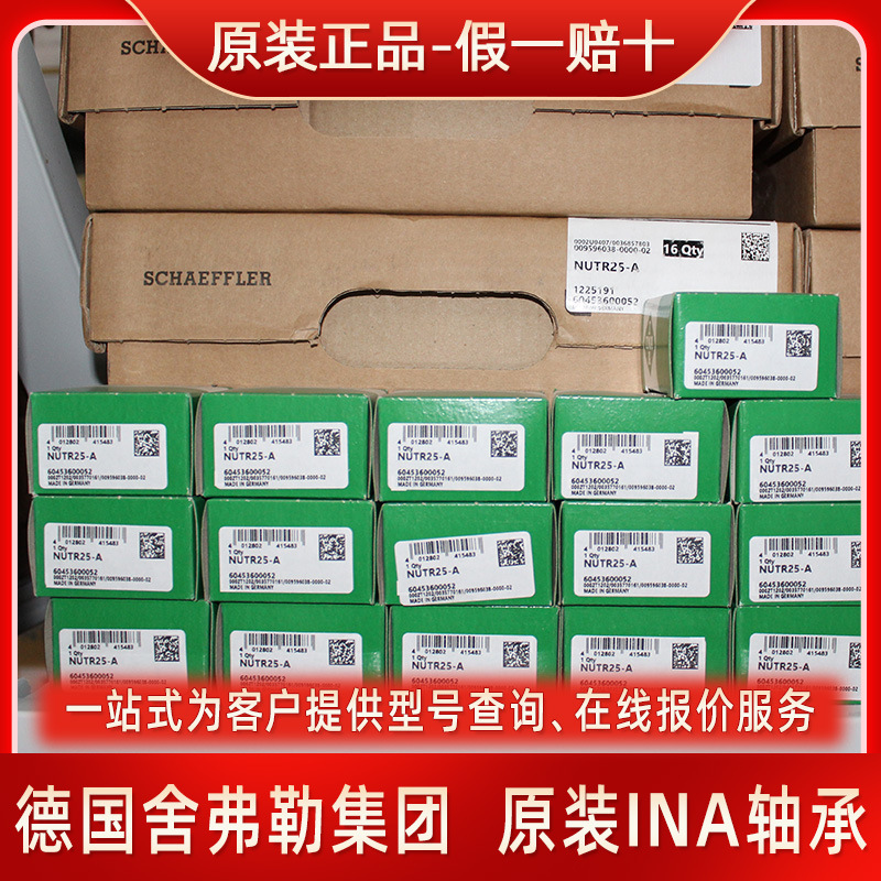INA轴承 德国INA轴承 滚针轴承 直线轴承 滚轮轴承 原装 ina轴承