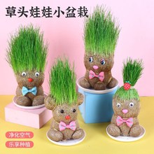 长草生草娃娃卡通桌面小孩子玩具办公乐趣护眼猫草包长草娃娃