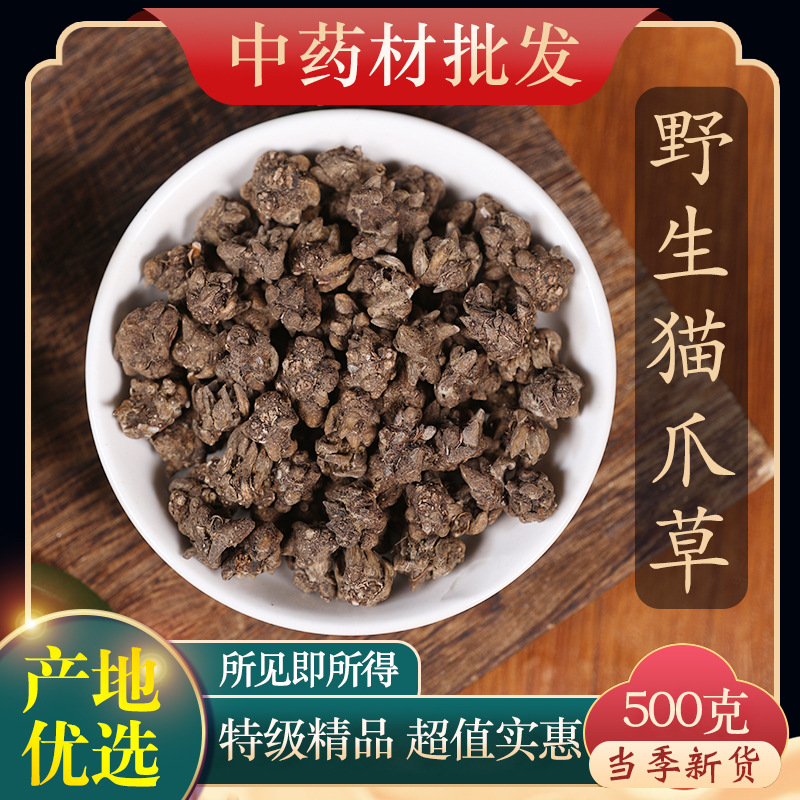 药材野生猫爪草500g克正品新鲜水洗猫爪草猫抓草另有夏枯草郁金