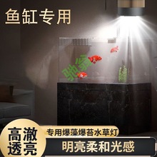 yut马印鱼缸筒灯全光谱LED鱼缸金鱼灯专用爆藻增色水草灯兰寿灯神