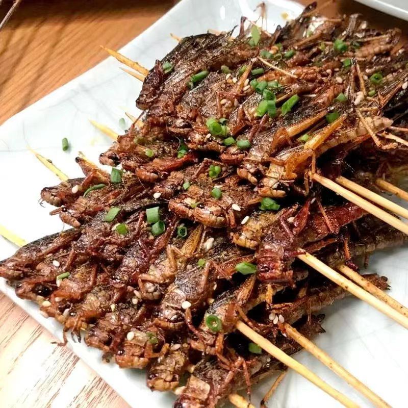ly蚂蚱串20串蝗虫串蚱蜢串烧烤油炸冷冻半成品商用网红小吃食材昆