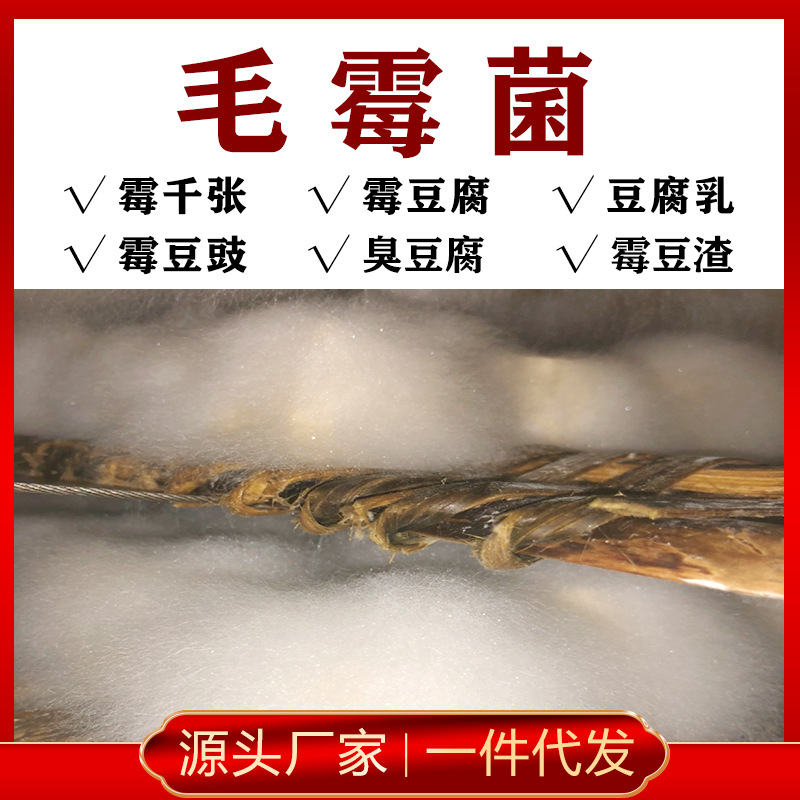 毛霉菌粉发酵毛豆腐乳 豆渣毛千张用曲微生物菌种厂100g 500g袋