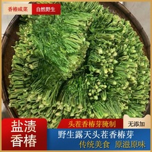 香椿芽咸菜山东特产当季新鲜腌制香椿头下饭菜酱菜头茬香椿即食菜