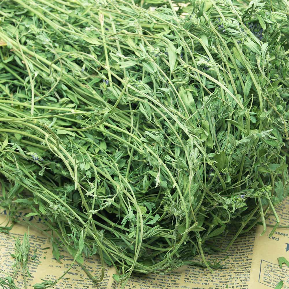 2022年紫花苜蓿草新草干草兔子龙猫烘干牧草豚鼠草粮饲料包邮
