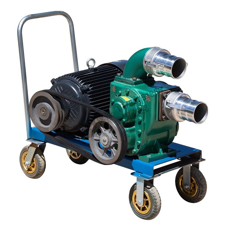 批发抽粪泵泥浆污水泵农用养殖场化粪池排污三相电自吸灌溉家用吸