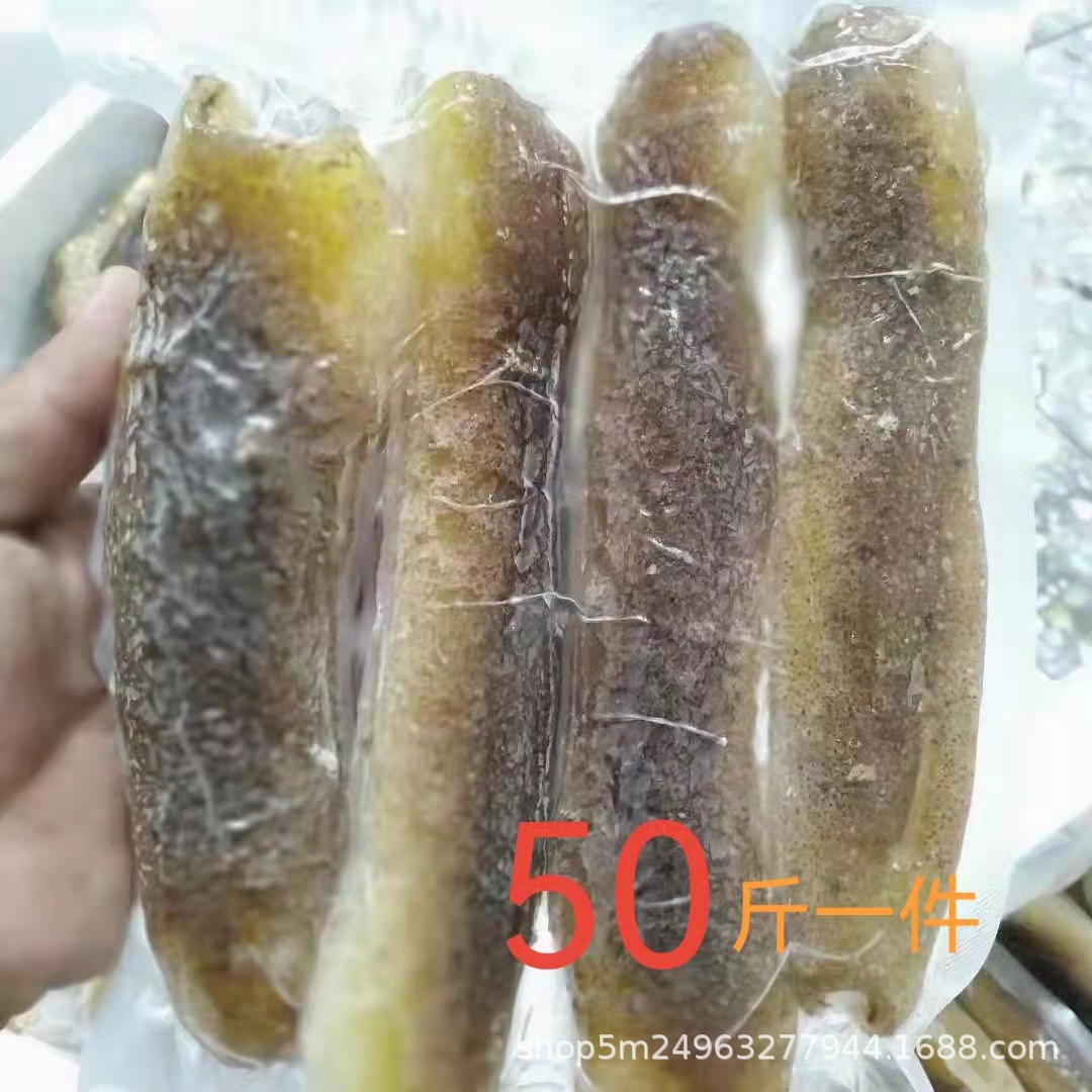 高质量清水虎皮参 水发即食赤条海参 酒店食材清水即食海参批发