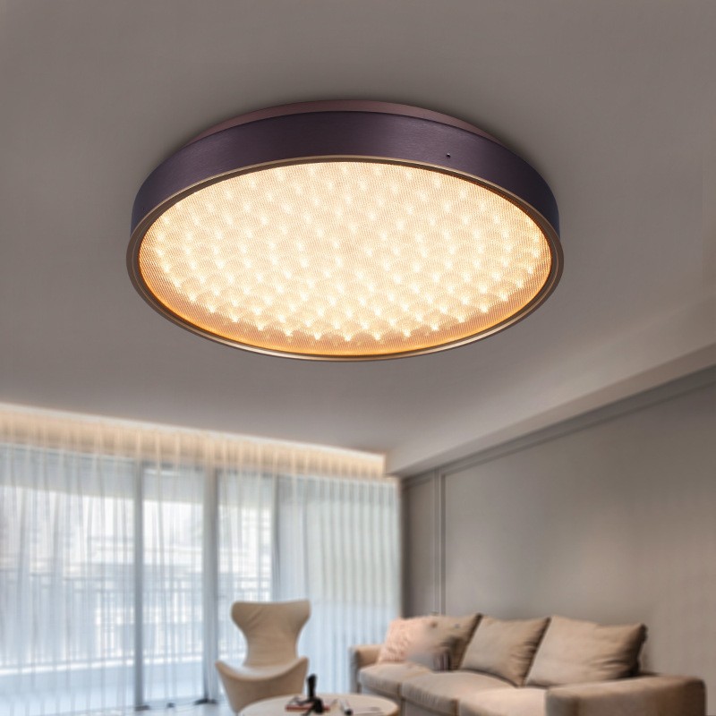 新特丽客厅led吸顶灯柔光 简约现代家用走廊卧室灯饰灯具贴牌定制