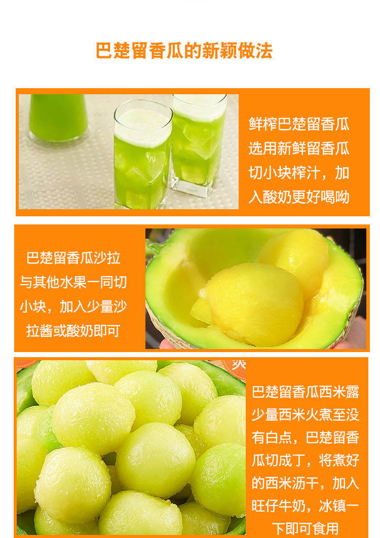 巴楚留香瓜极限挑战哈密瓜不常见水果新鲜新疆特产冰淇淋网纹蜜瓜