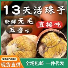 活珠子生批发13天新鲜五香无毛鸡胚蛋熟即食喜蛋凤凰钢化蛋毛鸡蛋