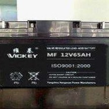 维基蓄电池MF12V65AH 直流屏免维护铅酸蓄电池后备应急专用机房