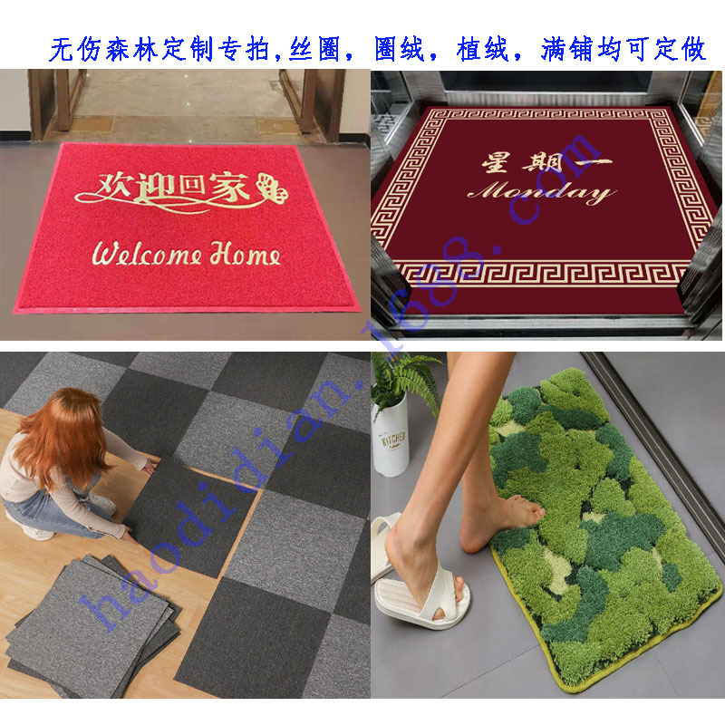 dingzhi专用丝圈圈绒植绒酒店电梯整铺地毯地垫满铺家用防滑l54