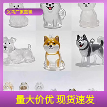毛发收纳盒可爱小狗透明动物毛球胶囊挂件装饰纪念防尘盒收集玩具