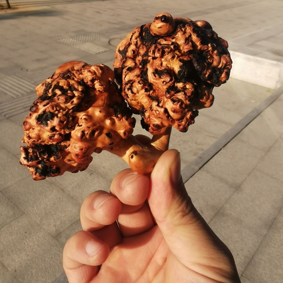 黑果木手把件把玩盘玩小物件天然树瘤