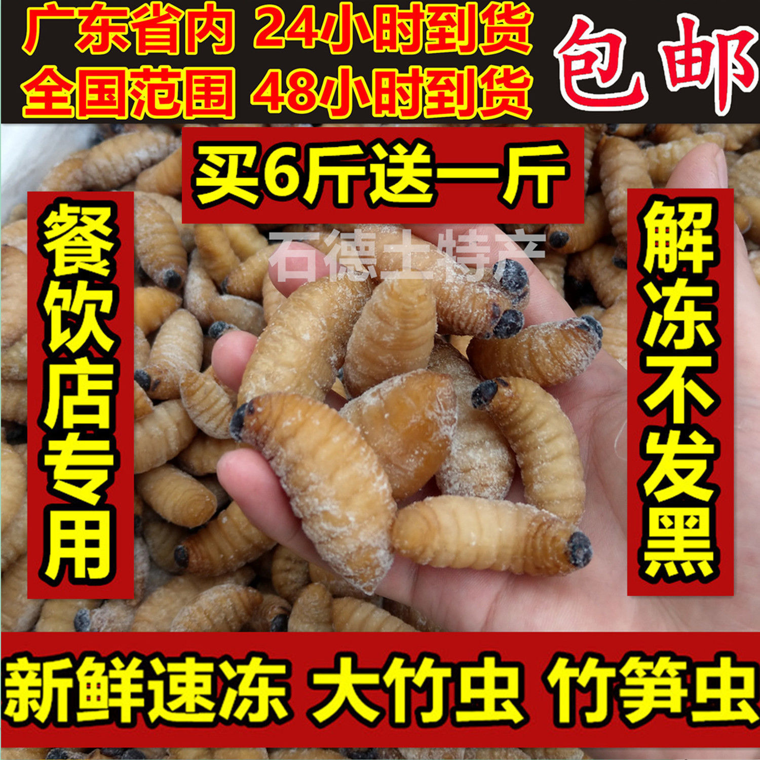 速冻大竹虫竹笋虫竹蛹干冻无冰大竹蛆笋蛆笋子虫生鲜全国包邮
