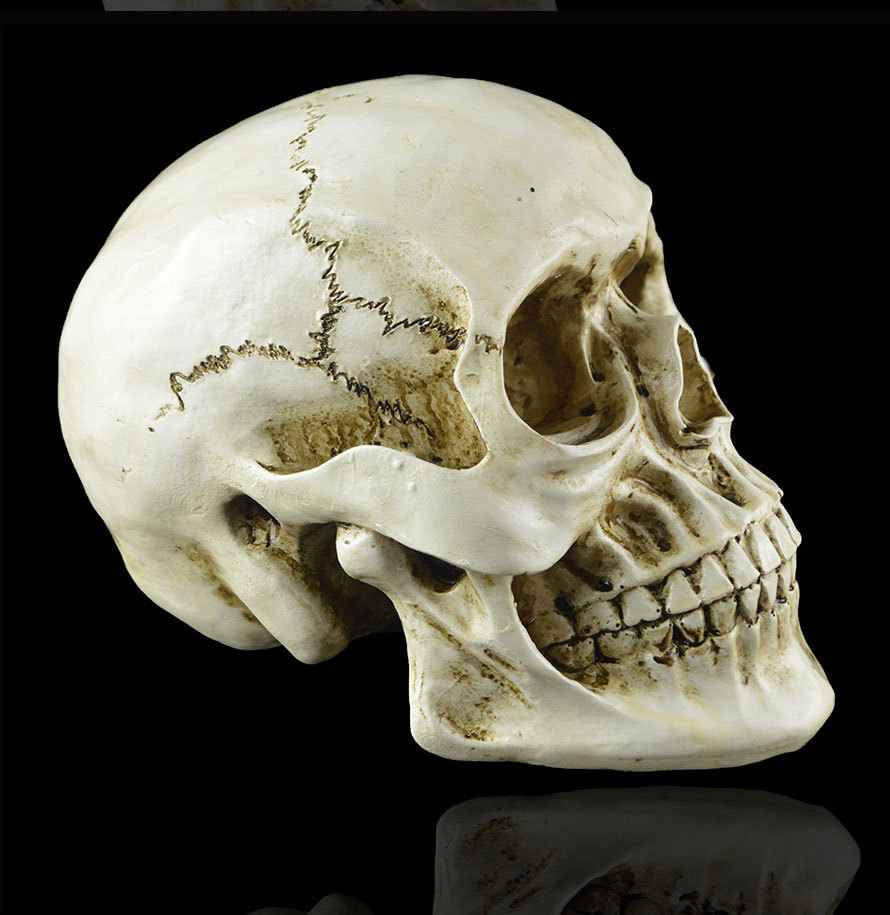 万圣节树脂工艺骷颅头摆件 大号仿真男人1比1头骨医用教学骷髅头