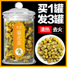 聚广德菊花茶胎菊干菊花茶胎菊王桐乡胎菊茶玻璃罐装40克