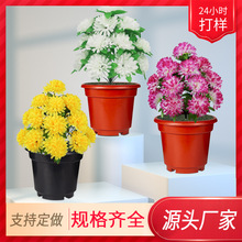 清明节祭祀花盆批发塑料工艺圆形花盆塑料盆栽和塑料盖板工厂直供