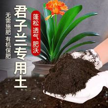 君子兰专用土君子兰专用营养土养花种花土通用种植土有机土壤肥料