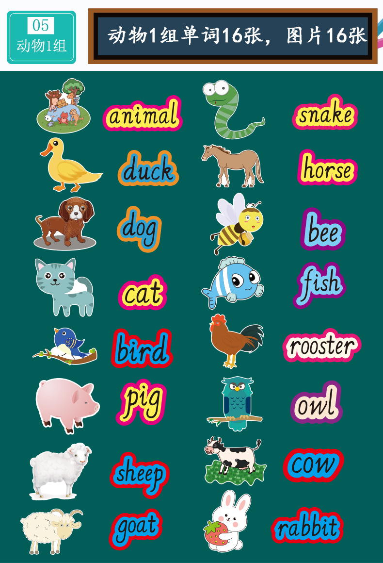 英语单词卡文具身体部位颜色数字动物食物卡片教具黑板贴图片闪卡