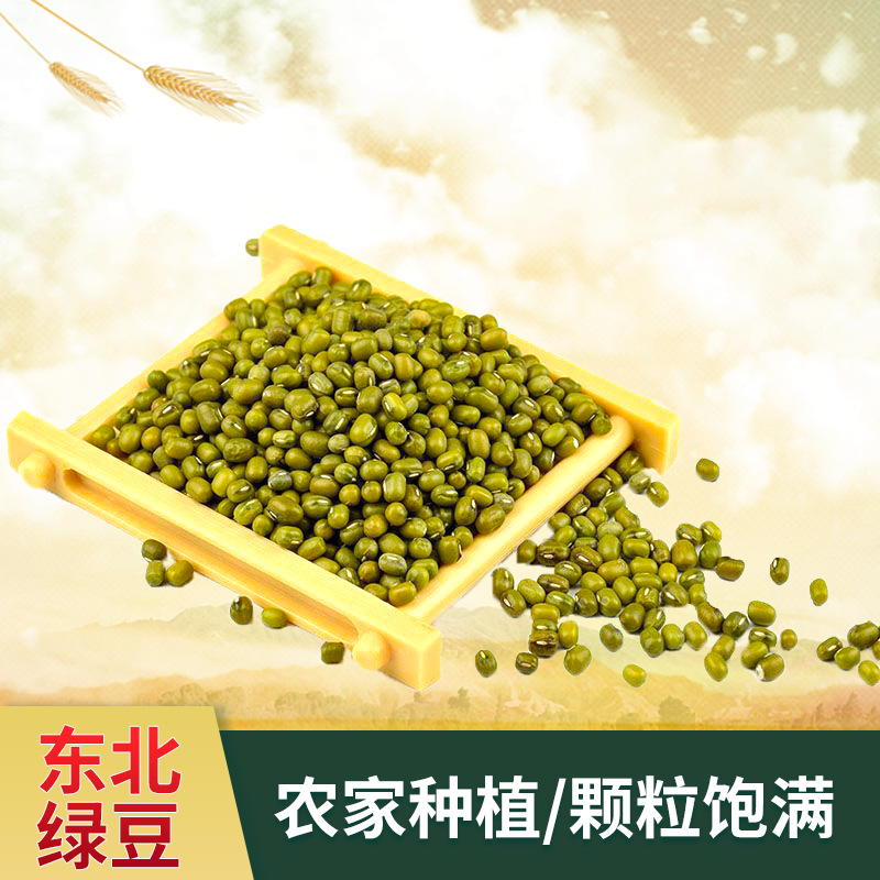 东北绿豆油杂绿豆绿豆原料五谷杂粮厂家